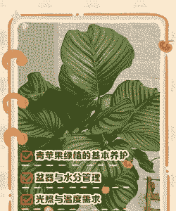 青苹果植物怎么养殖