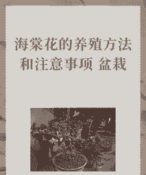 海棠牡丹花怎么养殖