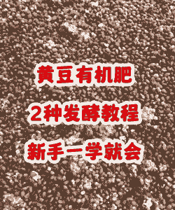 大豆怎样发酵做有机肥