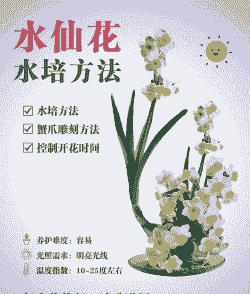 水盆栽植物怎么养殖