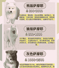 狗的养殖利润怎么样