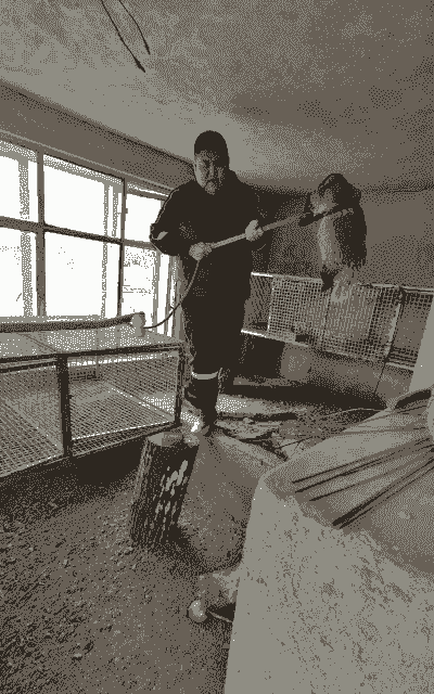 獾子养殖怎么样