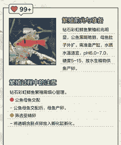 鲫鱼怎么养殖长得快