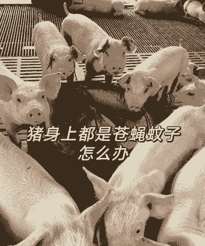 养殖场蚊子多怎么办