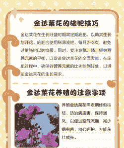 金达莱怎么养殖