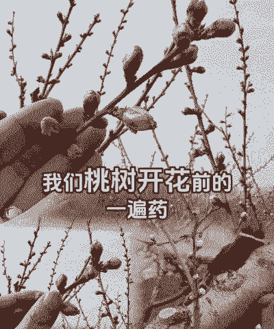 桃树怎么养殖