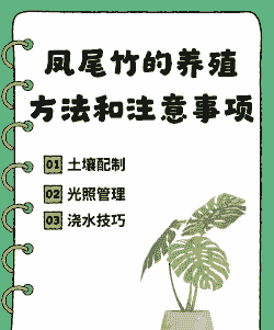 人工养殖凤尾竹怎么养殖