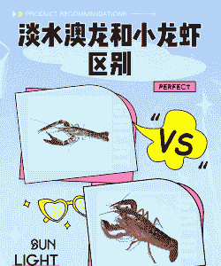 怎么辨别养殖龙虾