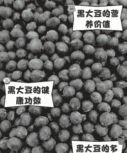 黑大豆怎么养殖