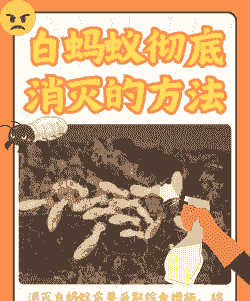 怎么人工养殖白蚁