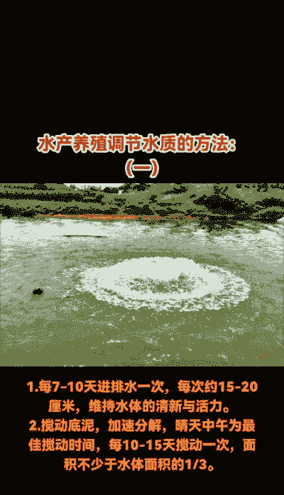 怎么加强养殖水质