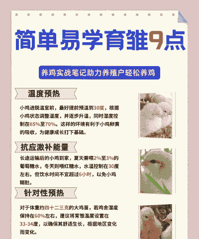 蛋鸡养殖怎么配