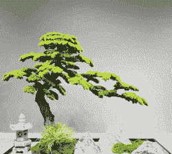 仿真松树怎么养殖