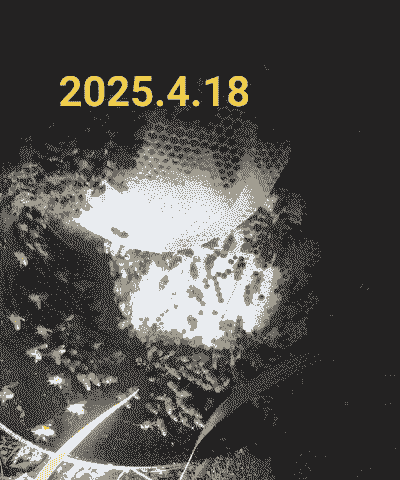 蜜蜂夜晚怎么养殖