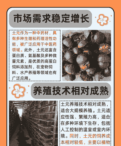 土元养殖前景怎么样