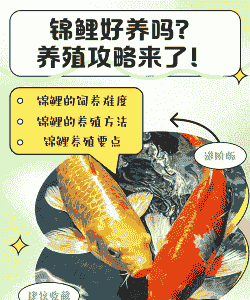 新鲜鲤鱼怎么养殖