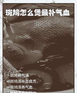 养殖斑鸠怎么烧