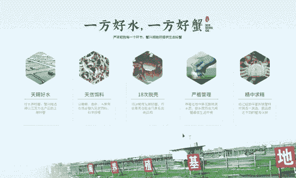 阳澄湖大闸蟹怎么养殖