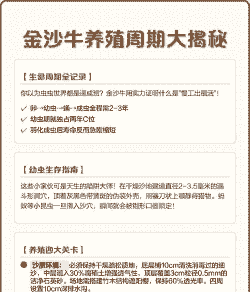 金沙牛怎么养殖