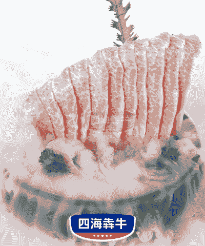 雪松肉怎么养殖
