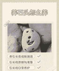 露天石头怎么养殖