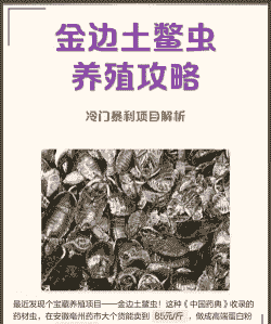 土鳖怎么养殖