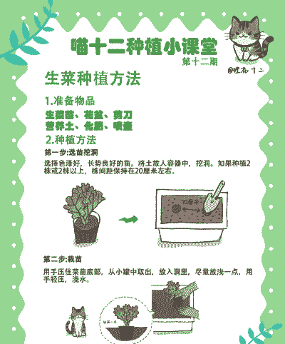 南方种菜怎么养殖