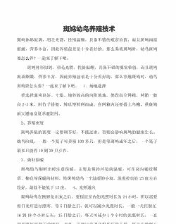 野生斑鸠怎么养殖