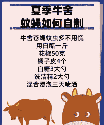 金苍蝇怎么养殖