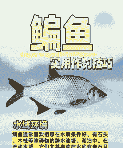 养殖鳊鱼怎么钓好
