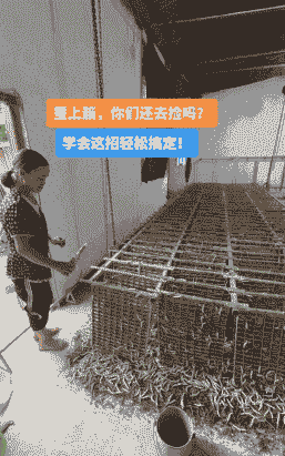 学生怎么养殖蚕丝