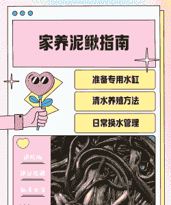 泥鳅养殖怎么用水