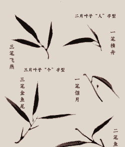 国画竹叶怎么养殖