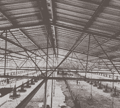 养殖中心怎么建设