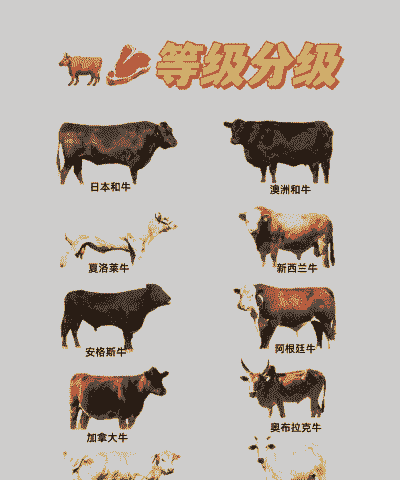 雪花牛肉怎么养殖