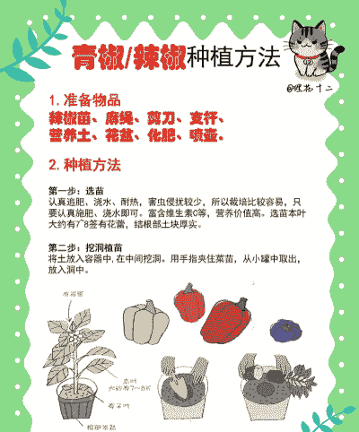 辣椒怎么种养殖