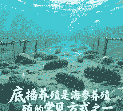 养殖海参怎么种植