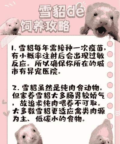 养殖貂怎么养活