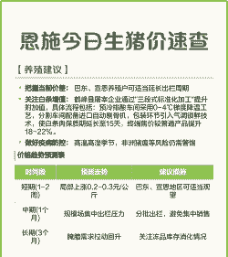 恩施生猪价格是多少