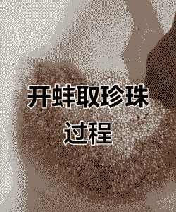 珍珠养殖怎么处罚