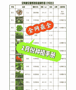 不同蔬菜怎么养殖