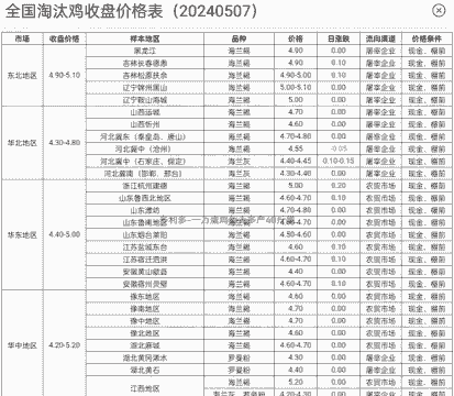 产蛋鸡多少天淘汰