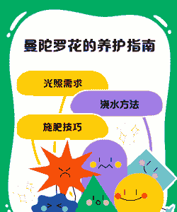 曼陀罗花怎么养殖