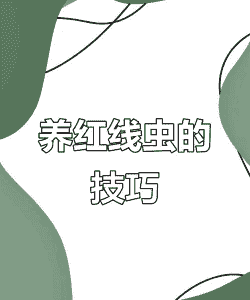 怎么养殖红线虫