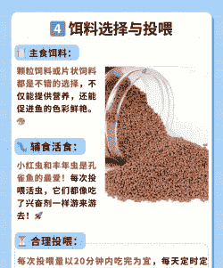 孔雀怎么养殖方法如下