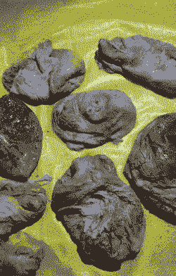 猪胃里面有个草球一样的东西是什么