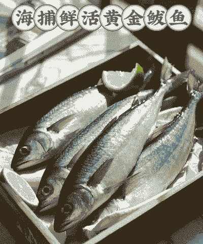 黄金鲅怎么养殖