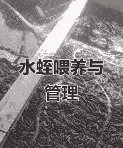 蚂蟥怎么养殖技术