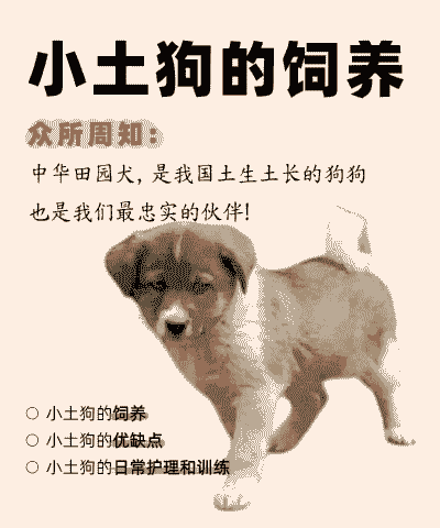 土狗子怎么养殖