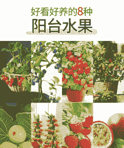 迷你水果怎么养殖